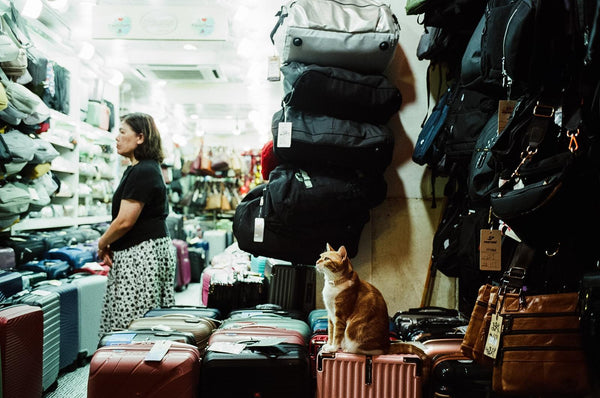 Kodak UltraMax 400 135-36