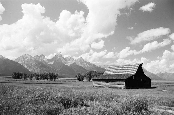 Kodak Ektapan 100 120 (1 roll)