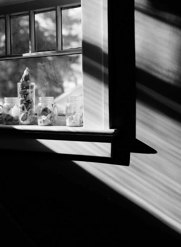 Kodak Ektapan 100 120 (1 roll)