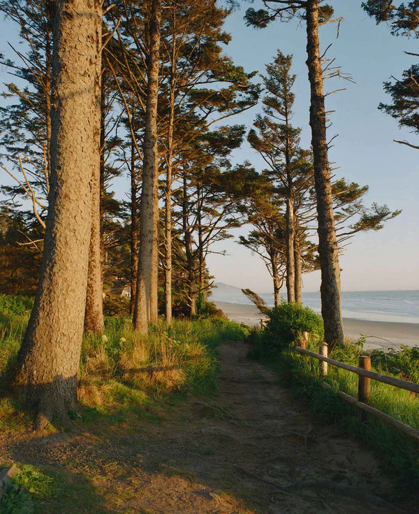 Kodak Ektacolor Pro 800 135-36