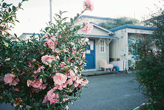 Fujifilm 400 Color Negative (1 roll)